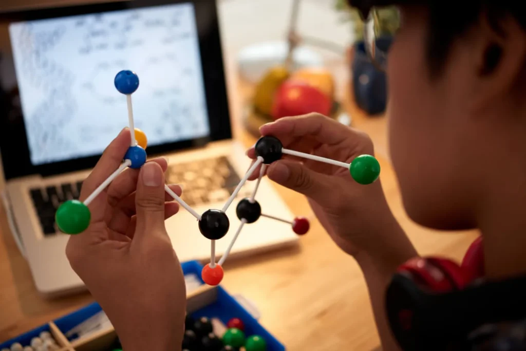 why-stem-course-in-usa